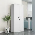 2 Door metallic office cabinet
