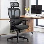 Generic Orthopedic Seat