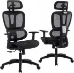 Generic Orthopedic Seat - Image 3