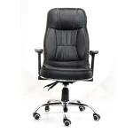 Generic executive office chair