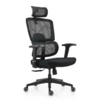 Orthopedic Office Boss Chair - Image 2